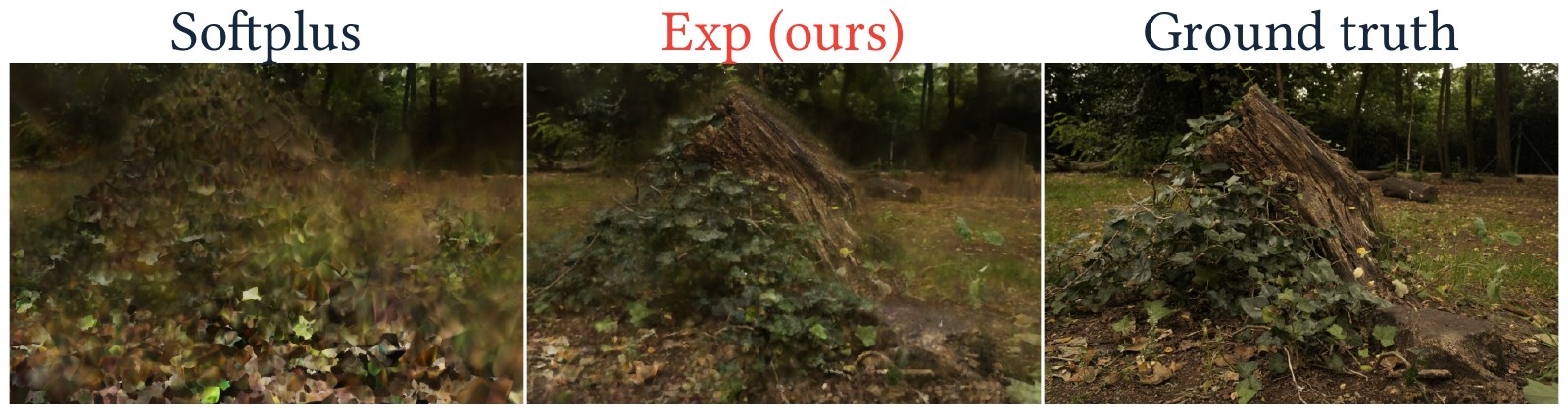 Stump scene after 1000 steps: softplus is hazy, exponential is sharp, next to ground truth.
